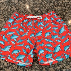 Men’s small shark swimsuit